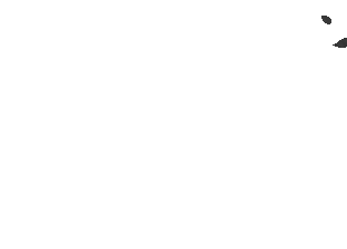 ZMR1.gif