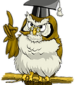 wise old owl transparent.png