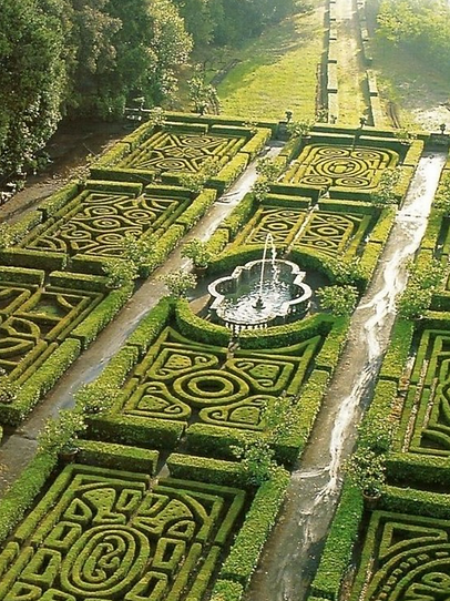 Copy of emergence (1).png