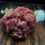 Miniaturbild: Bio Weiderind - Hackfleisch