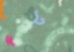 Grün _web_edited.jpg
