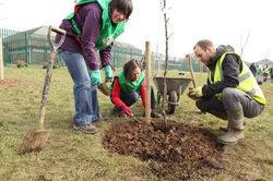 Planting