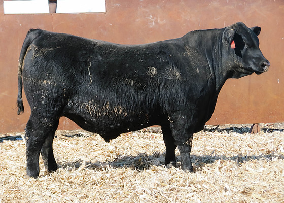 Lot 52-1.jpg
