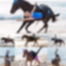 HLS Trick Riding.jpeg