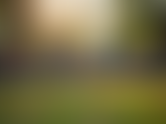 Iniciativas sociales: fortalecer la memoria colectiva