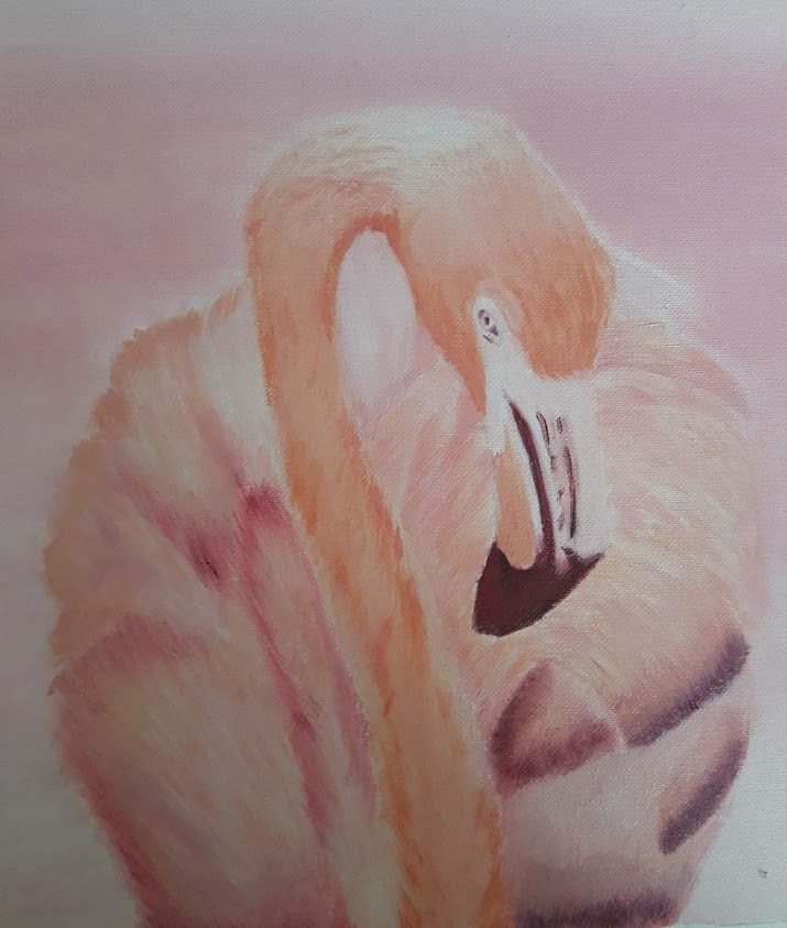 Flamingo