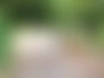 7~8月のボランティア様の受入可能日です☆