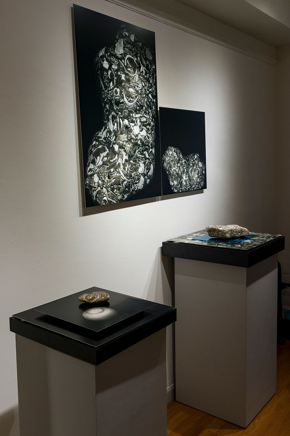 STILL LIFE (installation)