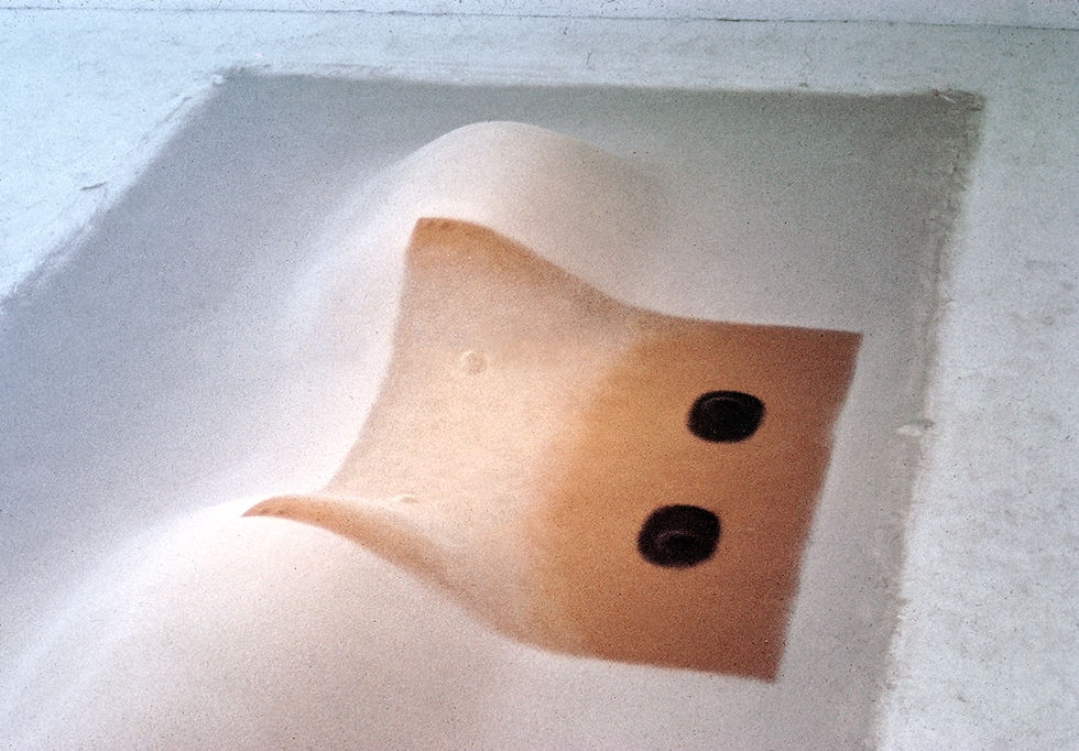 PORTRAIT OF PAMELA