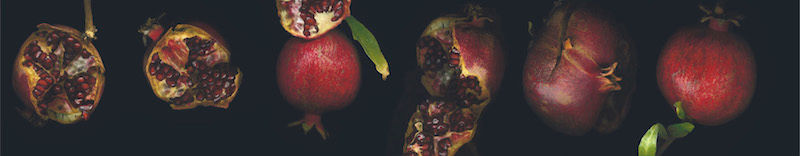 POMEGRANATE