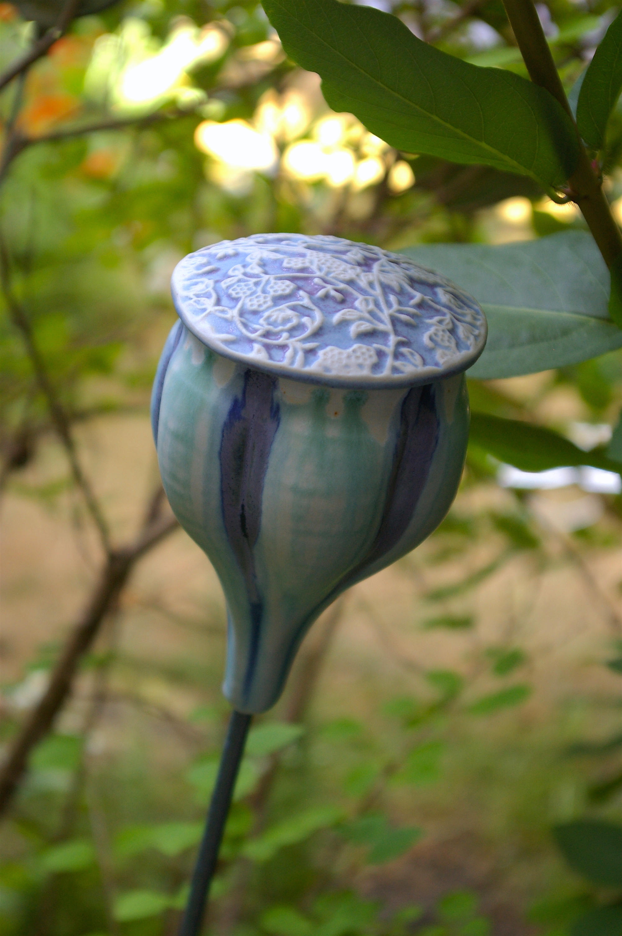 seed pod with lacy top
