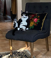 IMG_1676_edited.jpg