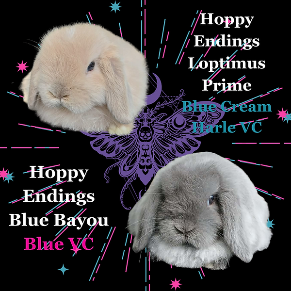 Parents - Loptimus x Blue Bayou.png