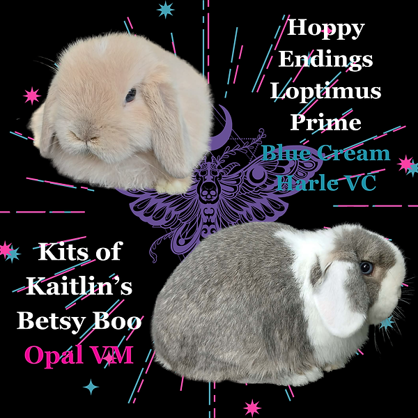 Parents - Loptimus x Betsy.png