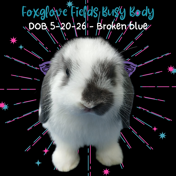 Busy Body Face 7-21-26.png