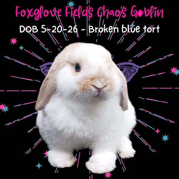 Chaos Goblin Face 7-13-26.png