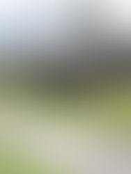 Concierto El Encanto de la Muerte.