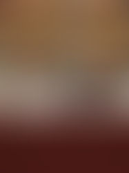 Presentación del libro Extranjeros, naturales y fronteras en la América Ibérica y Europa (1492-1830)