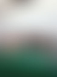 La UACM se declara “universidad santuario”