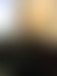 Hacia la Construcción de un Diccionario de Escritoras en México