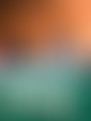 Rueda de prensa de la Asamblea Interuniversitaria. (Galería)