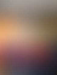 Galería del 4o. Festival Musical Nacional Felipe Villanueva.(15 de octubre)