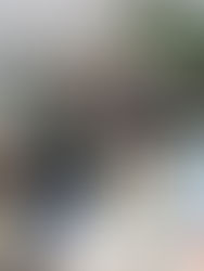 Conmemoración del Día Internacional Contra la Violencia a las Mujeres. (Galería)