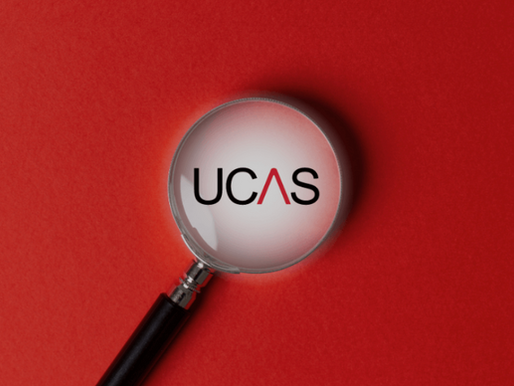 UCAS outcomes 2024 cycle