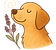Contented golden retriever sniffing lavender.