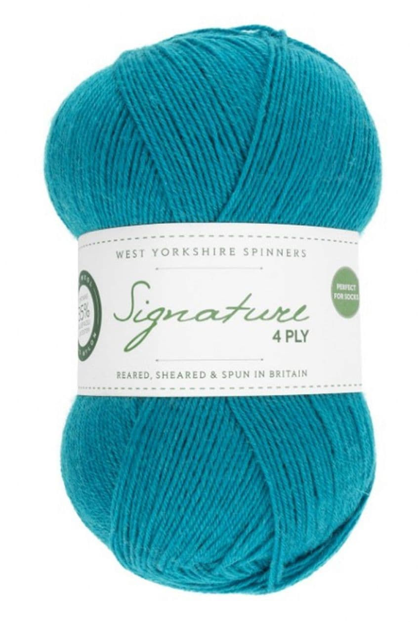 Thumbnail: Signature 4ply sock yarn 100g Colour shade 1