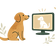 Dog watching a screen