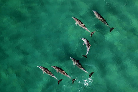 Mozambique