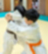 PXL_20250204_100834952.jpg