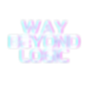 WaY Beyond logic Logi.png