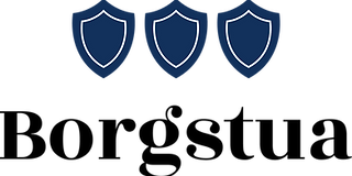 BS logo strek blue.png