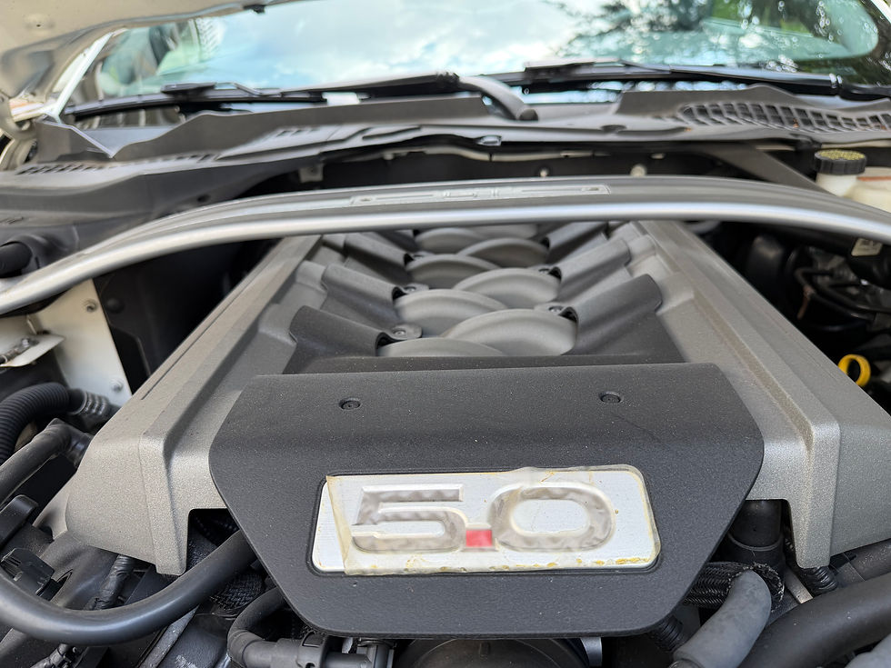 Miniatura: Ford Mustang edición 50 aniversario 
