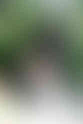 Summit House Wedding Photography