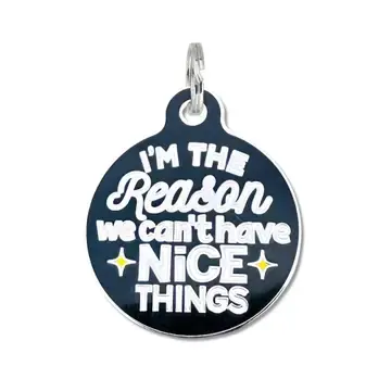 I'm the reason we can't have nice things charm or pet id tag