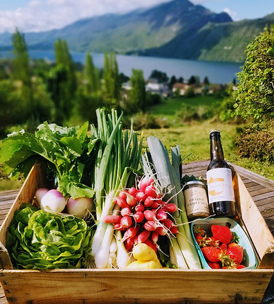 panier légumes BIO