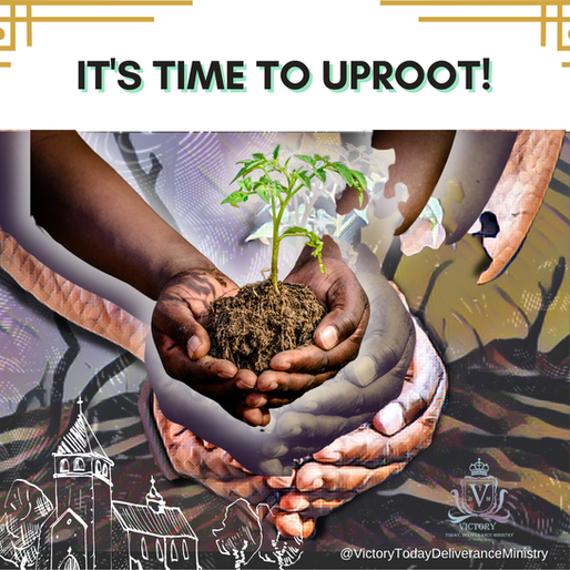 It's Time To Uproot