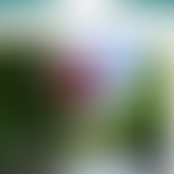 Having Courageous Faith