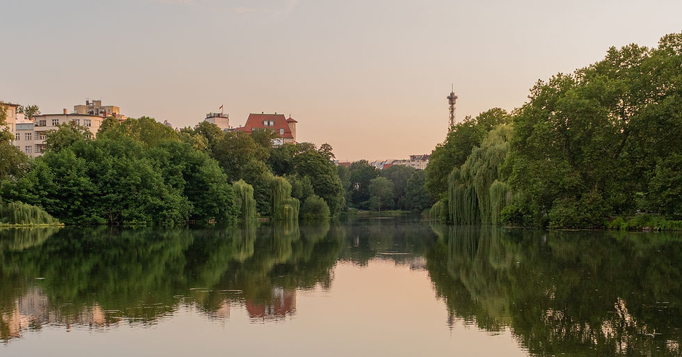 Hausverwaltung am Lietzensee_Treuhand AG.jpg