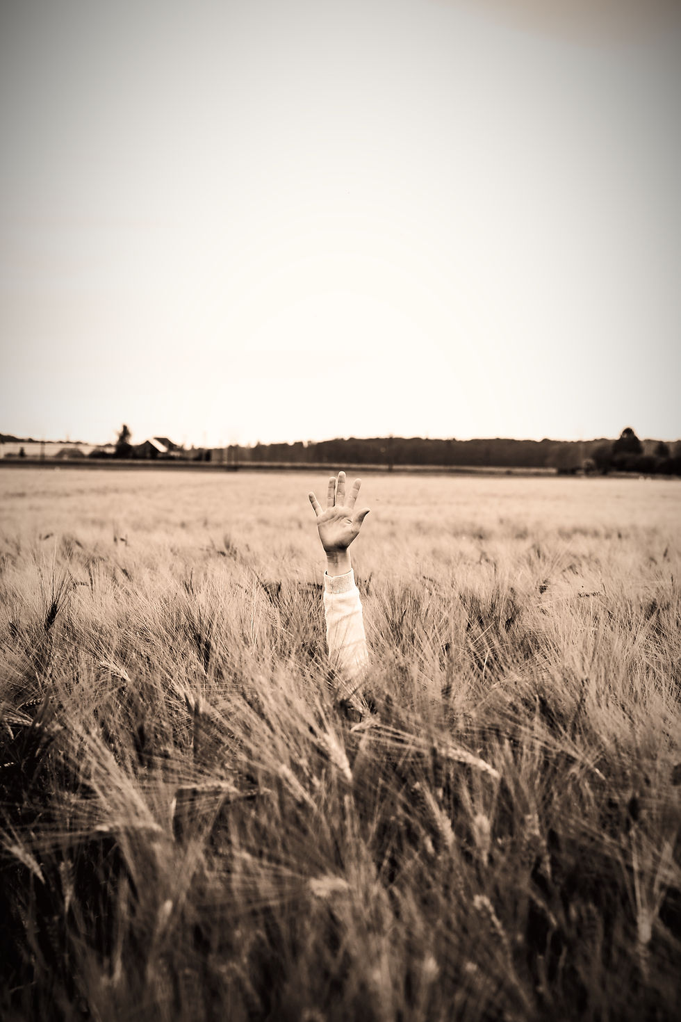 Image by Jonny Caspari