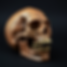 Wood Skull.png