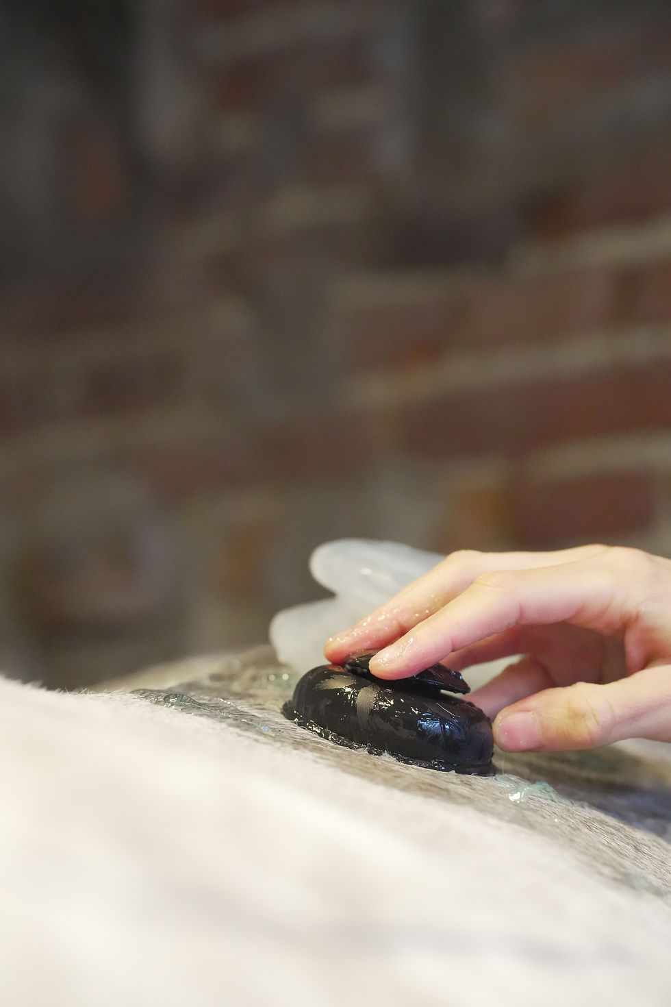 Workshop Equine Cupping