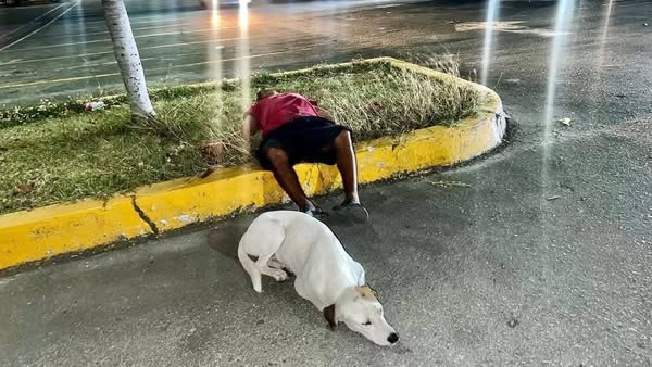 En una ciudad donde lo urgente suele pasar desapercibido frente a lo trivial, este perro nos recuerda lo esencial: la fidelidad sin condiciones, la entrega total, el amor sin palabras.