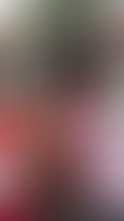 Accidente en la colonia Ejido deja un lesionado en Playa del Carmen