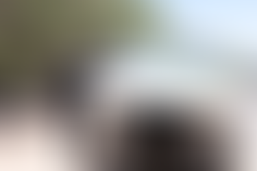 Continúa el “Operativo Imagen” en Playa del Carmen: 113 notificaciones por vehículos abandonados