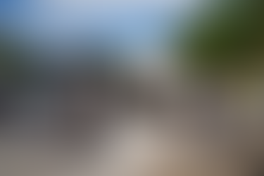 Encabeza Estefanía Mercado Mega Brigada de Servicios Públicos en Puerto Aventuras