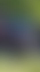 Tragedia en la carretera Kantunil-Cancún: víctima queda irreconocible tras brutal accidente